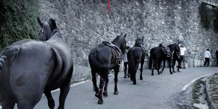 saga il canto dei monti