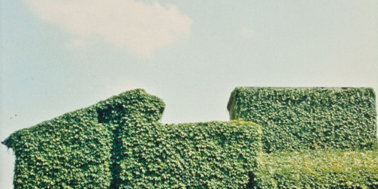 Musei Civici Reggio Emilia » Un piede nell'Eden. Luigi Ghirri e altri  sguardi